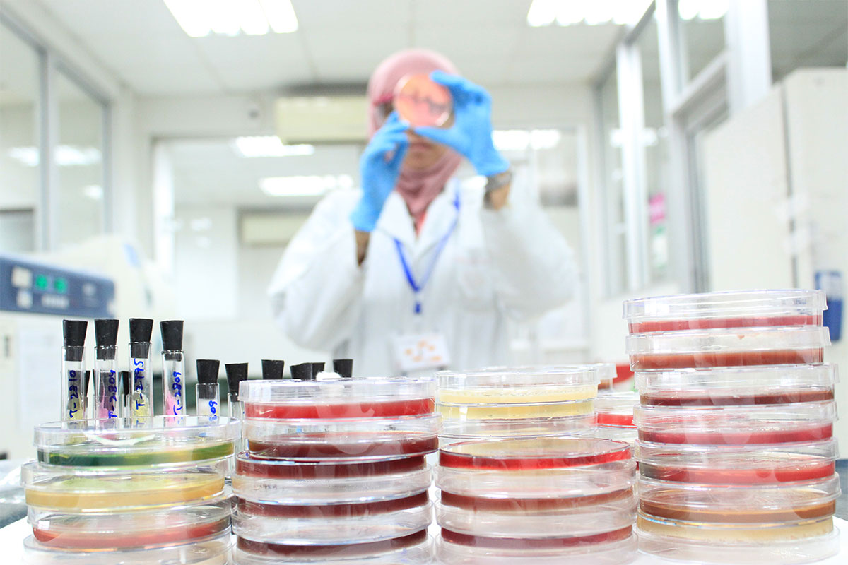 Pathology laboratory testing patient samples for bacterial and infectious diseases